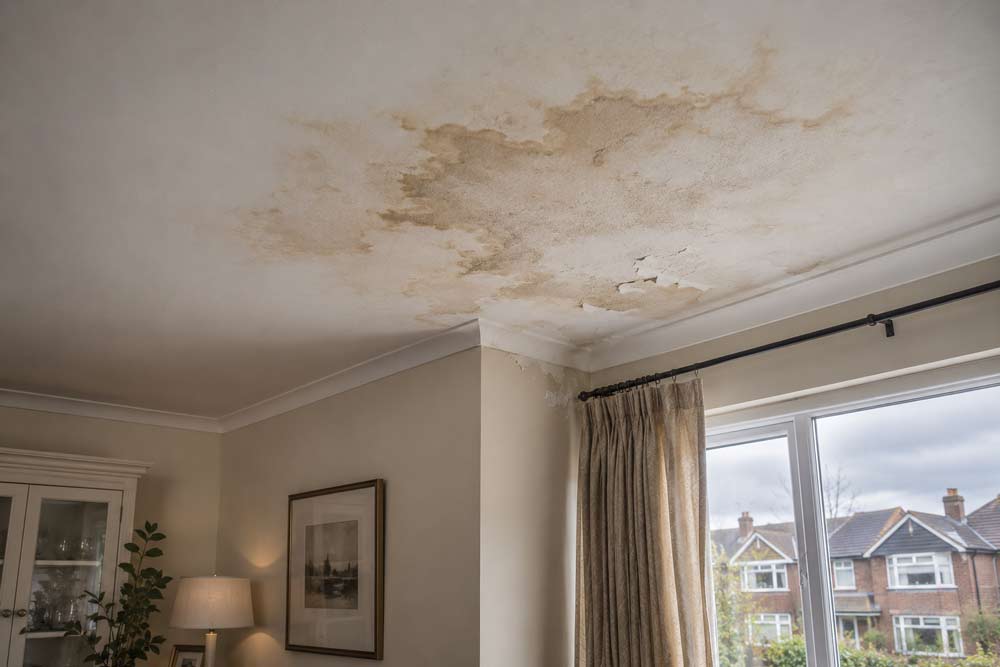Signs You Need Roof Repairs