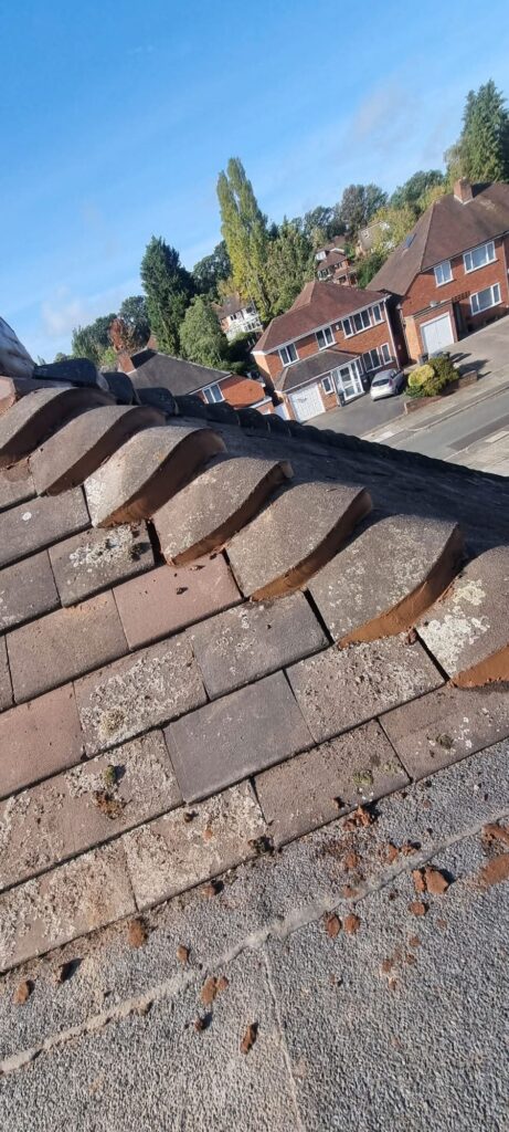 Dorma Flat Roof 